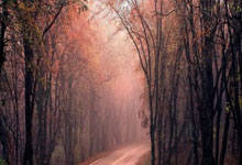 拒绝勇士，拒绝湖人，他做了生涯最错误决定，要带着遗憾退役了.