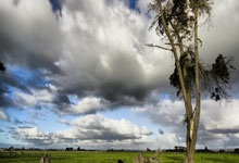 罗体：尤文只考虑以1亿欧或者更高的价格出售伊尔迪兹.