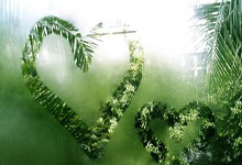 南宫体育官网：记者：卡努在星光熠熠的新月能稳定出场，若缺席对国足是重大利好.