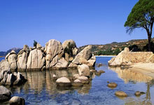 欧冠-迪亚斯戴帽萨拉赫助攻 利物浦4-0勒沃库森.